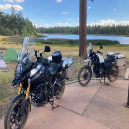 Kaibab National Forest White Horse Lake Campground