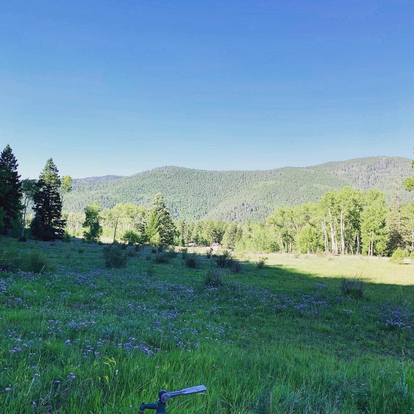 Camper-submitted photo at Jacks Creek Horse Camp near Tesuque, NM