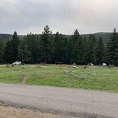 Review photo of Jacks Creek Horse Camp by Allison C., August 13, 2020