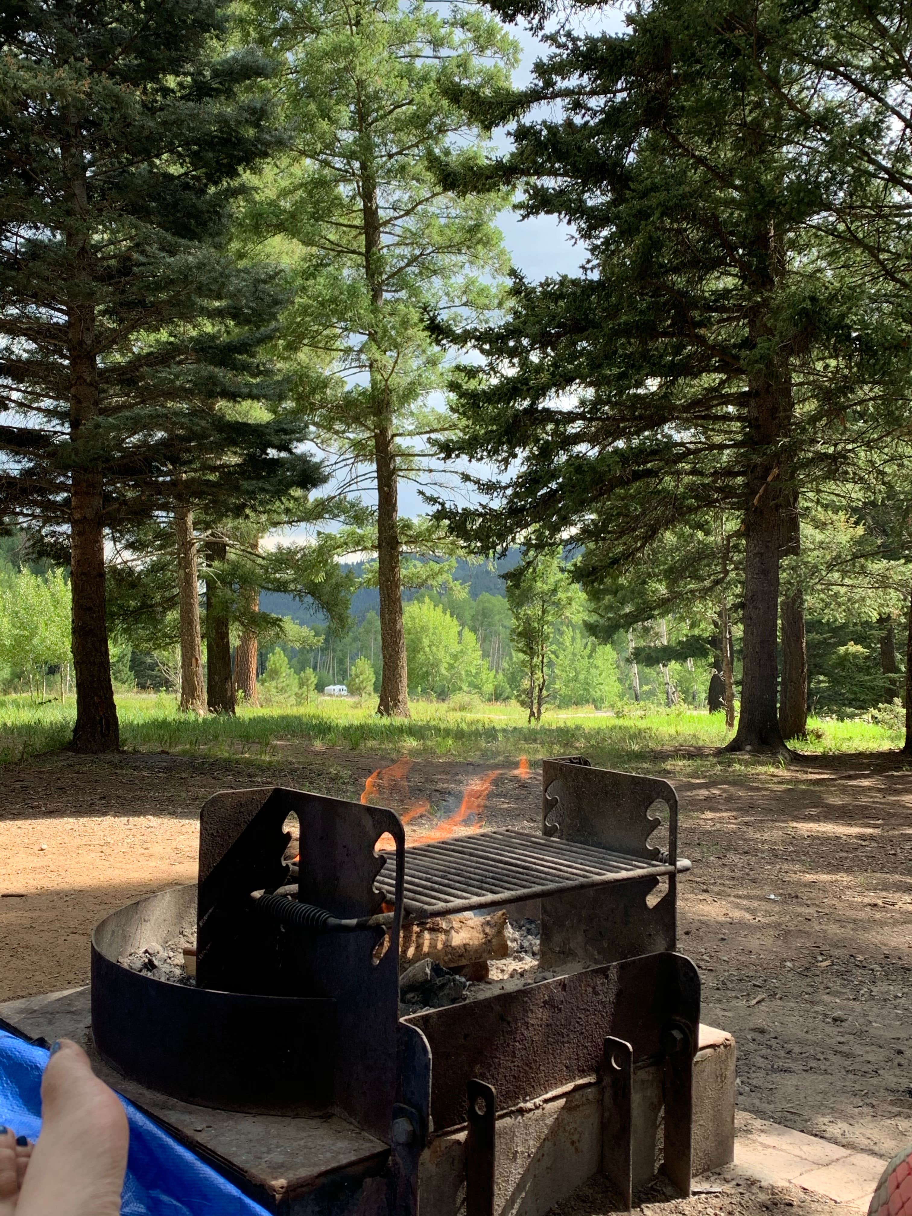 View All