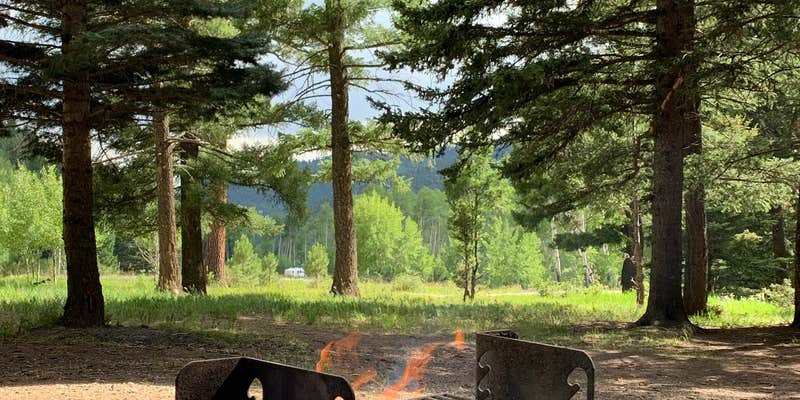 Camper submitted image from Jacks Creek Horse Camp