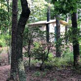 Review photo of Canoe Landing Group Campsite — James River State Park by J P., August 13, 2020