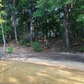 Review photo of Canoe Landing Group Campsite — James River State Park by J P., August 13, 2020