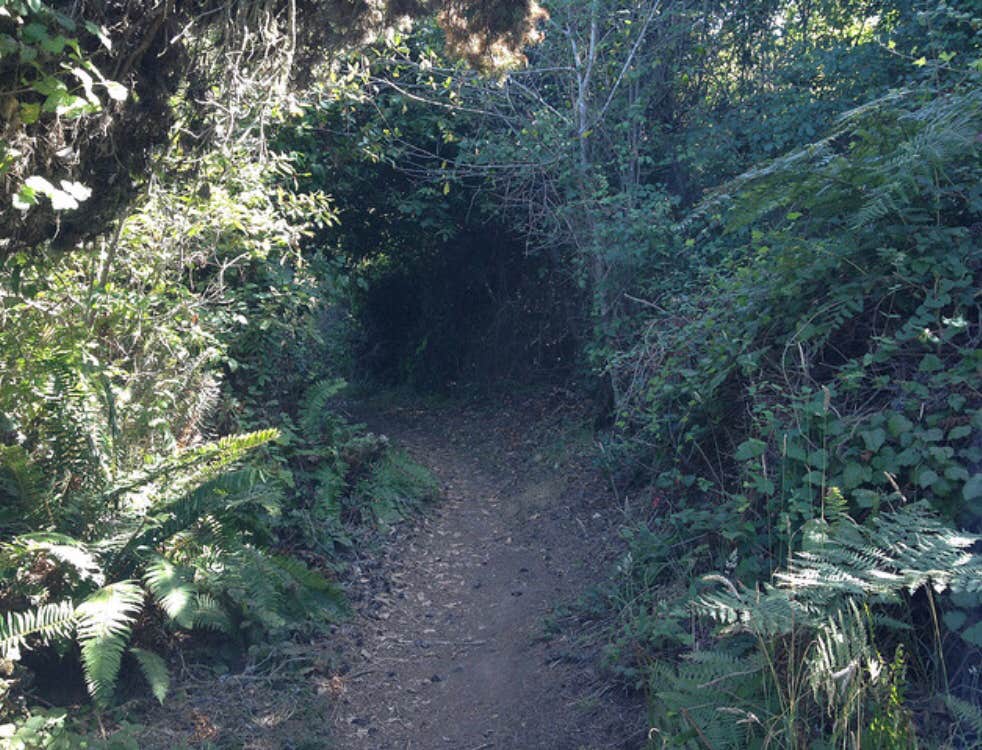 Camper-submitted photo at Mackerricher State Park Campground in California