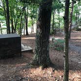 Review photo of Canoe Landing Group Campsite — James River State Park by J P., August 13, 2020