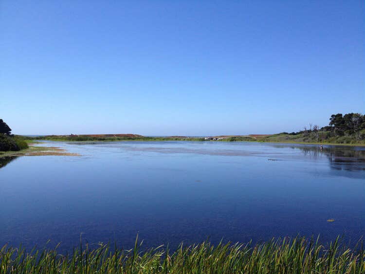 Camper-submitted photo at Mackerricher State Park Campground in California