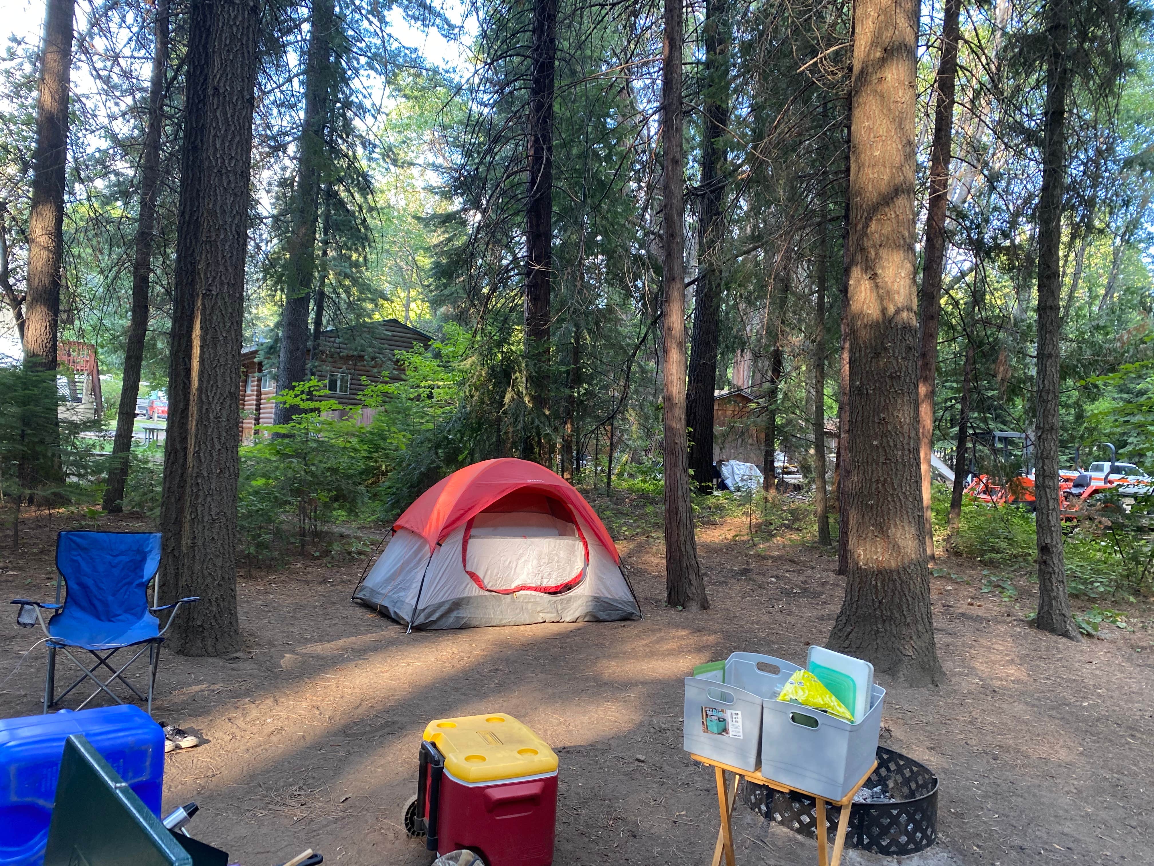 Camper submitted image from Mount Shasta City KOA Holiday - 4