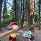 Review photo of Mount Shasta City KOA by Brittney  K., August 14, 2020
