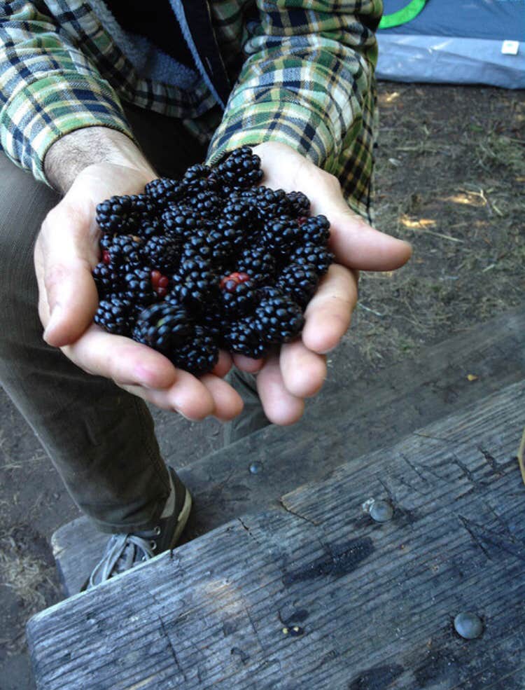 Camper-submitted photo at Mackerricher State Park Campground in California