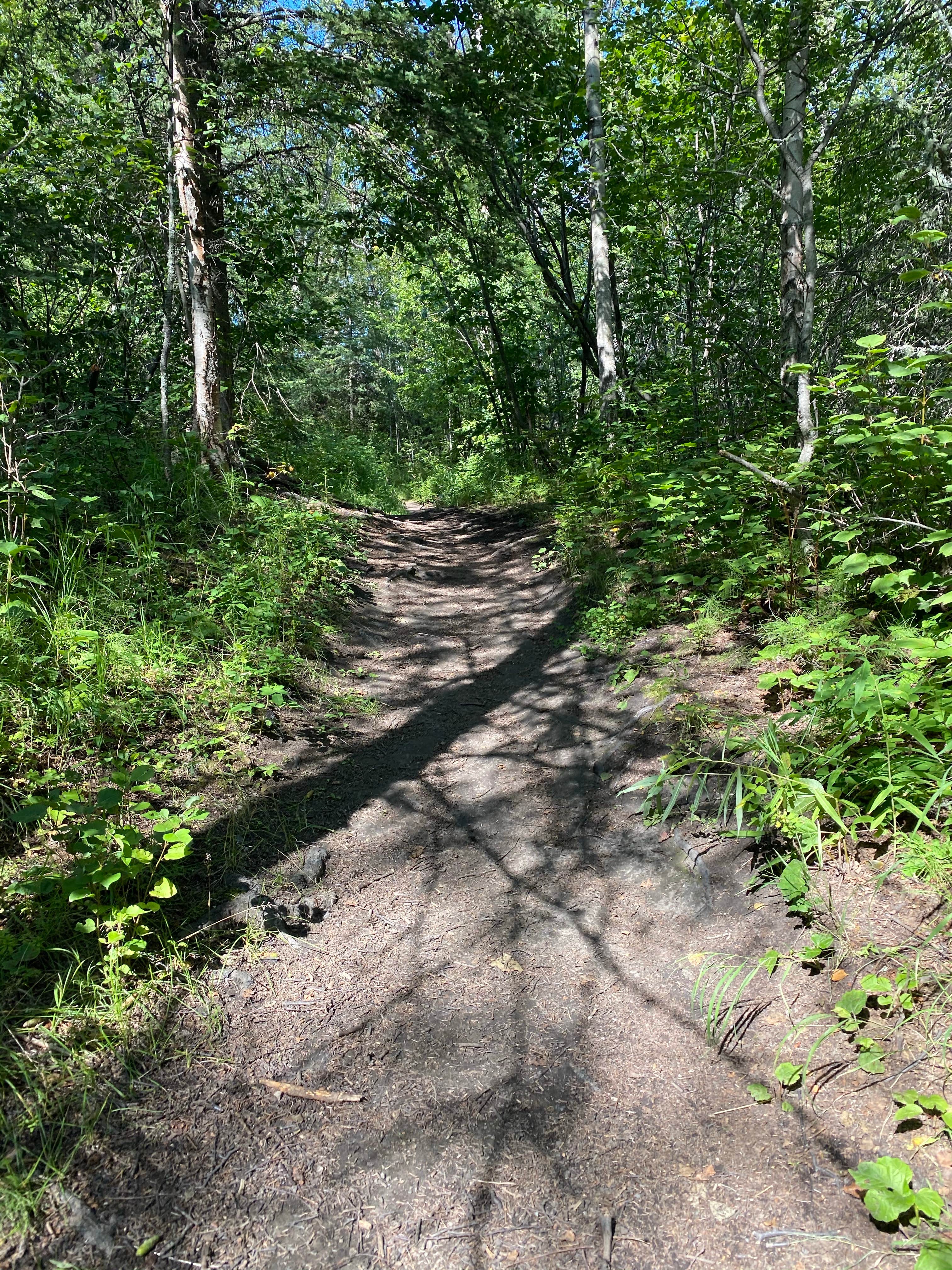 Camper submitted image from Kepler Park - 3