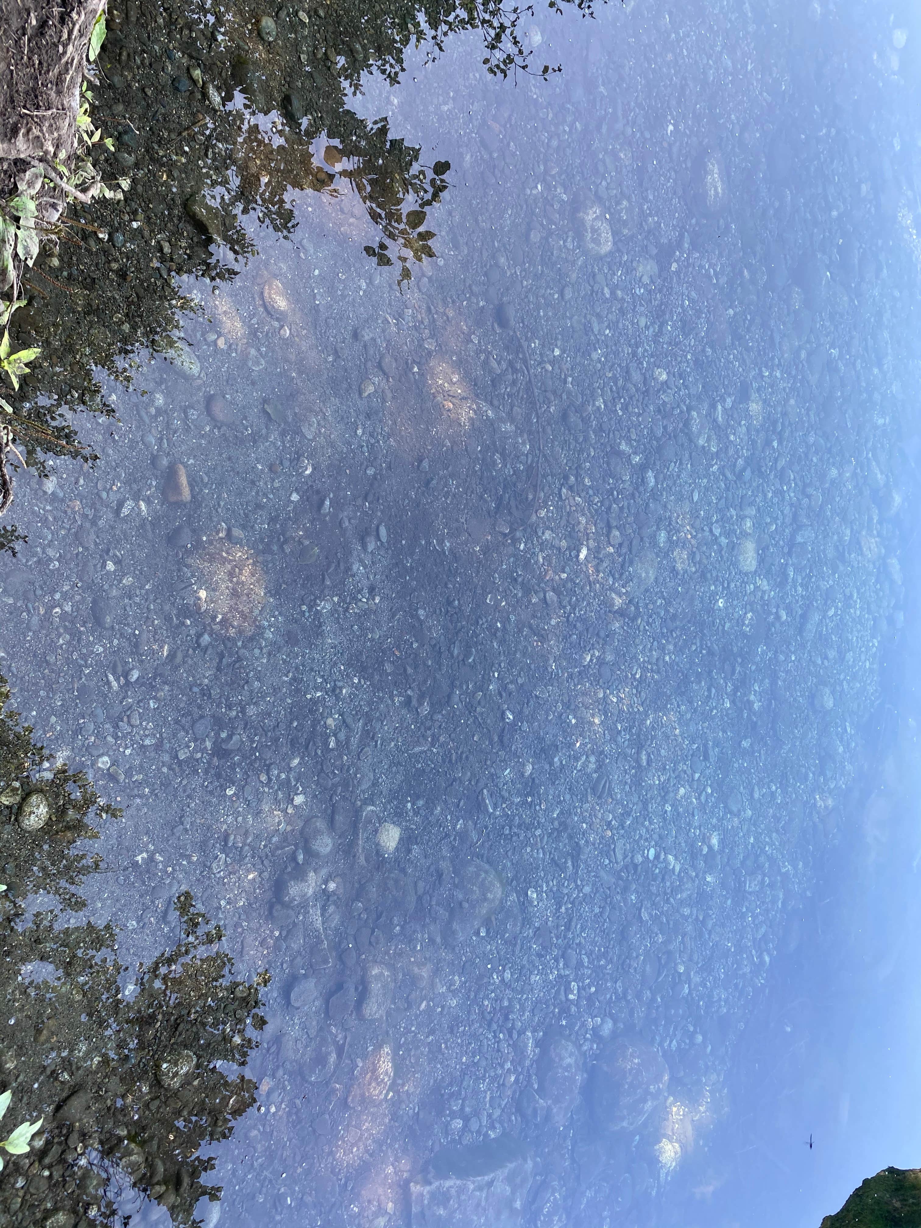 Camping near Kepler Bradley Lake: Kepler Park, Palmer, Alaska