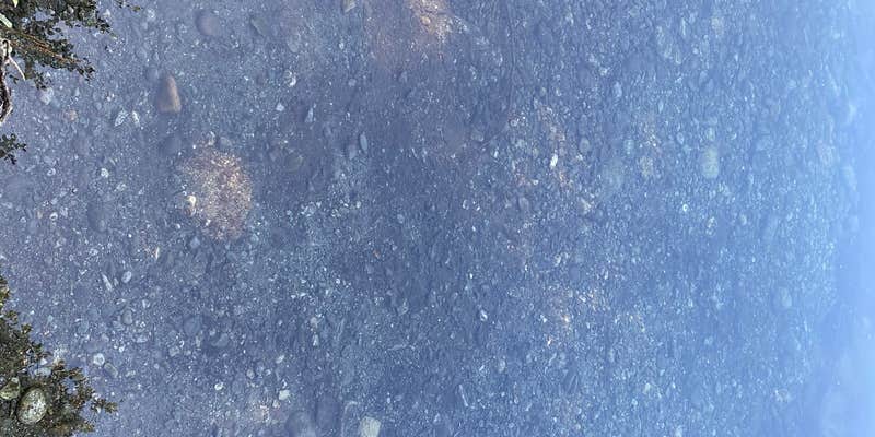 Camper submitted image from Kepler Park