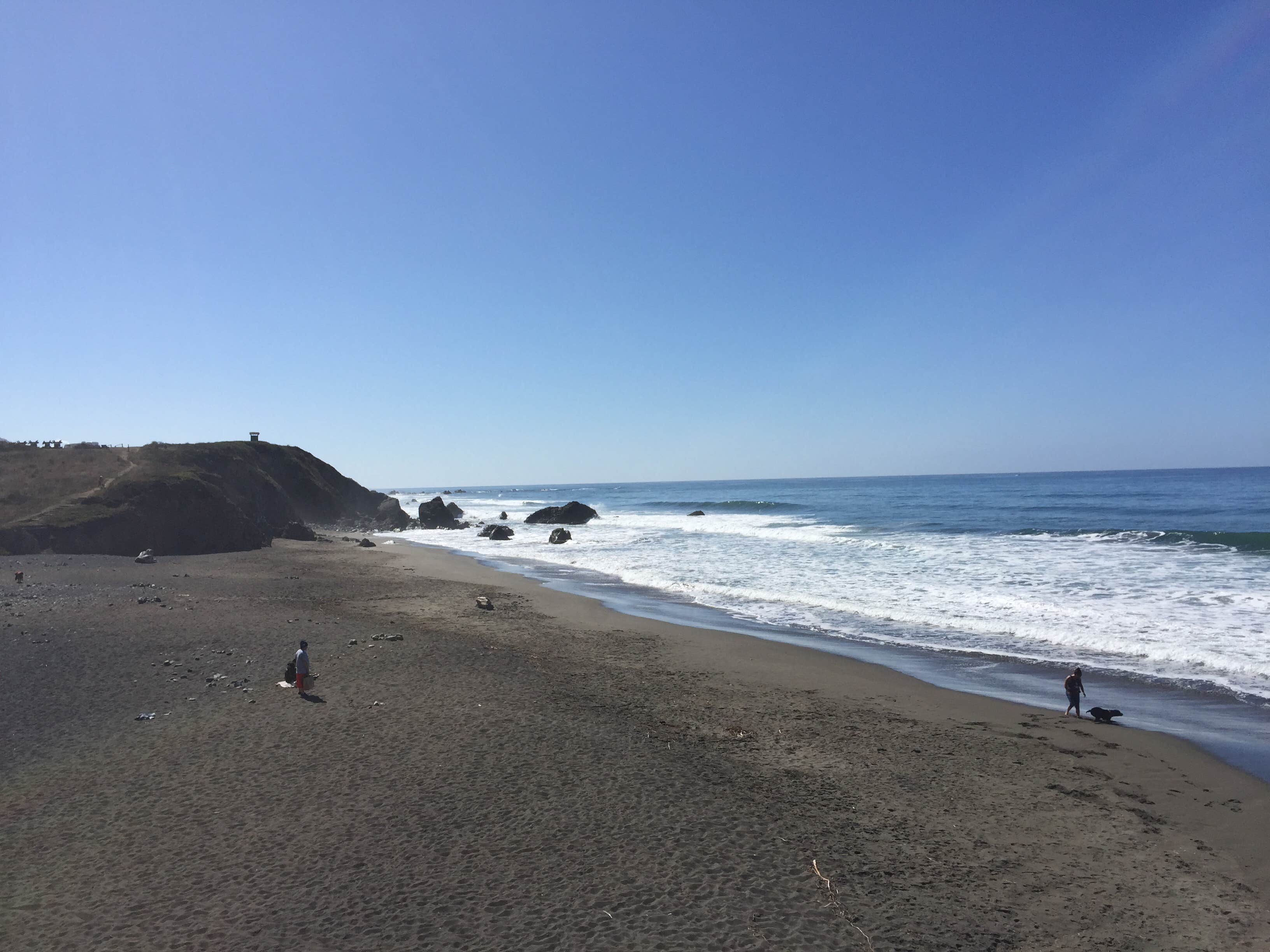 Camper submitted image from Westport Union Landing State Beach — Westport-Union Landing State Beach - 3