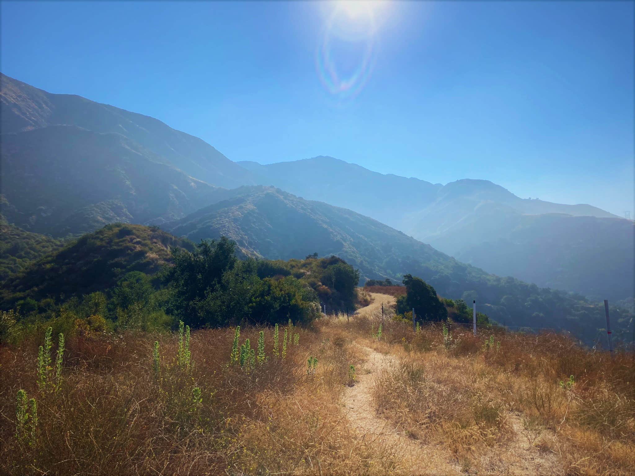 Camper-submitted photo at Millard Trail Campground near Lancaster, CA