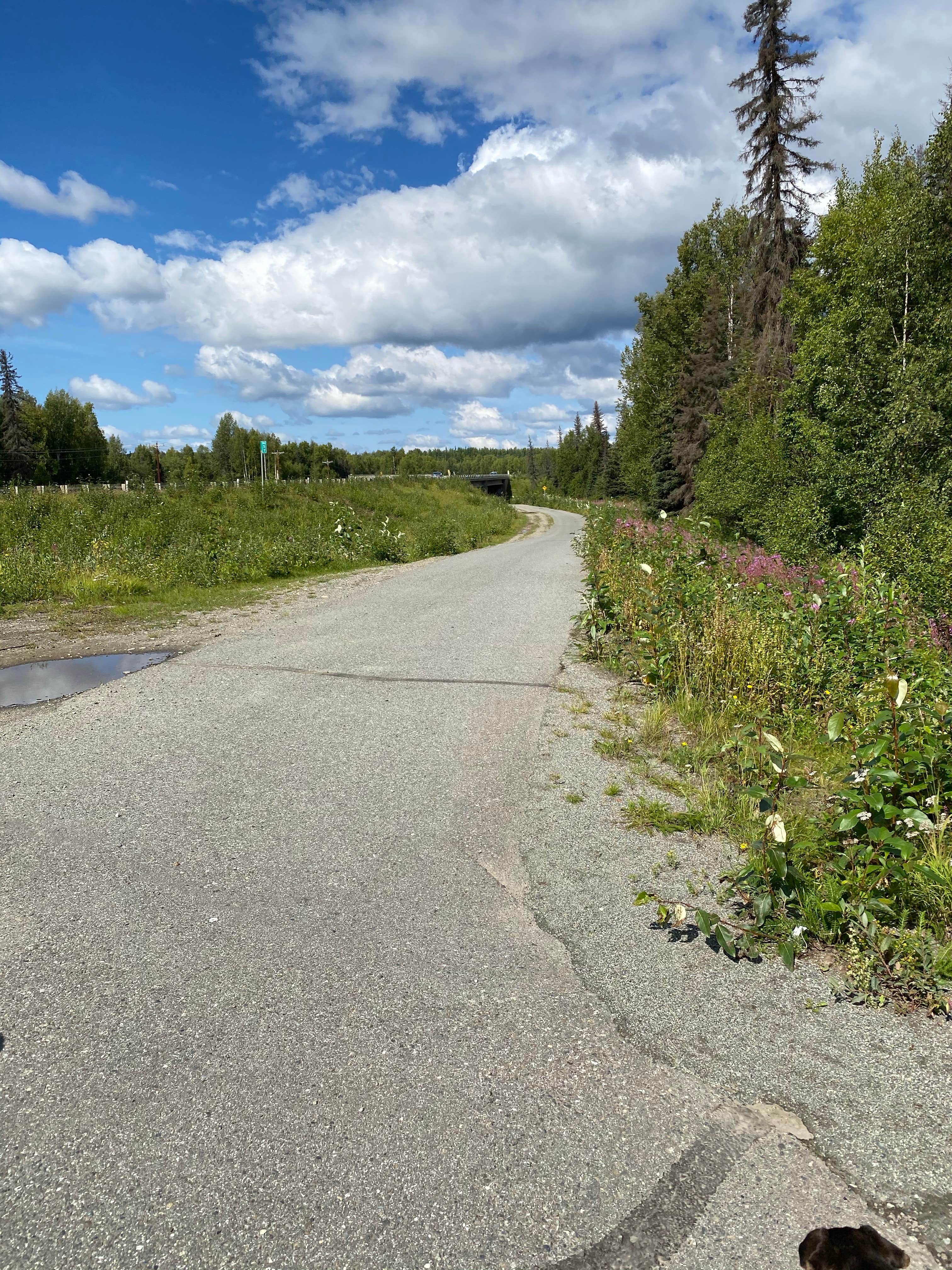 Camper submitted image from Little Susitna Campground - 3