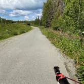 Review photo of Little Susitna Campground by Tanya B., August 14, 2020