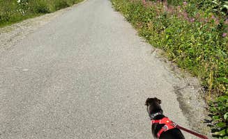 Tanya B.'s photo of camping with pets at Little Susitna Campground near Palmer, AK