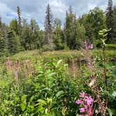 Review photo of Little Susitna Campground by Tanya B., August 14, 2020