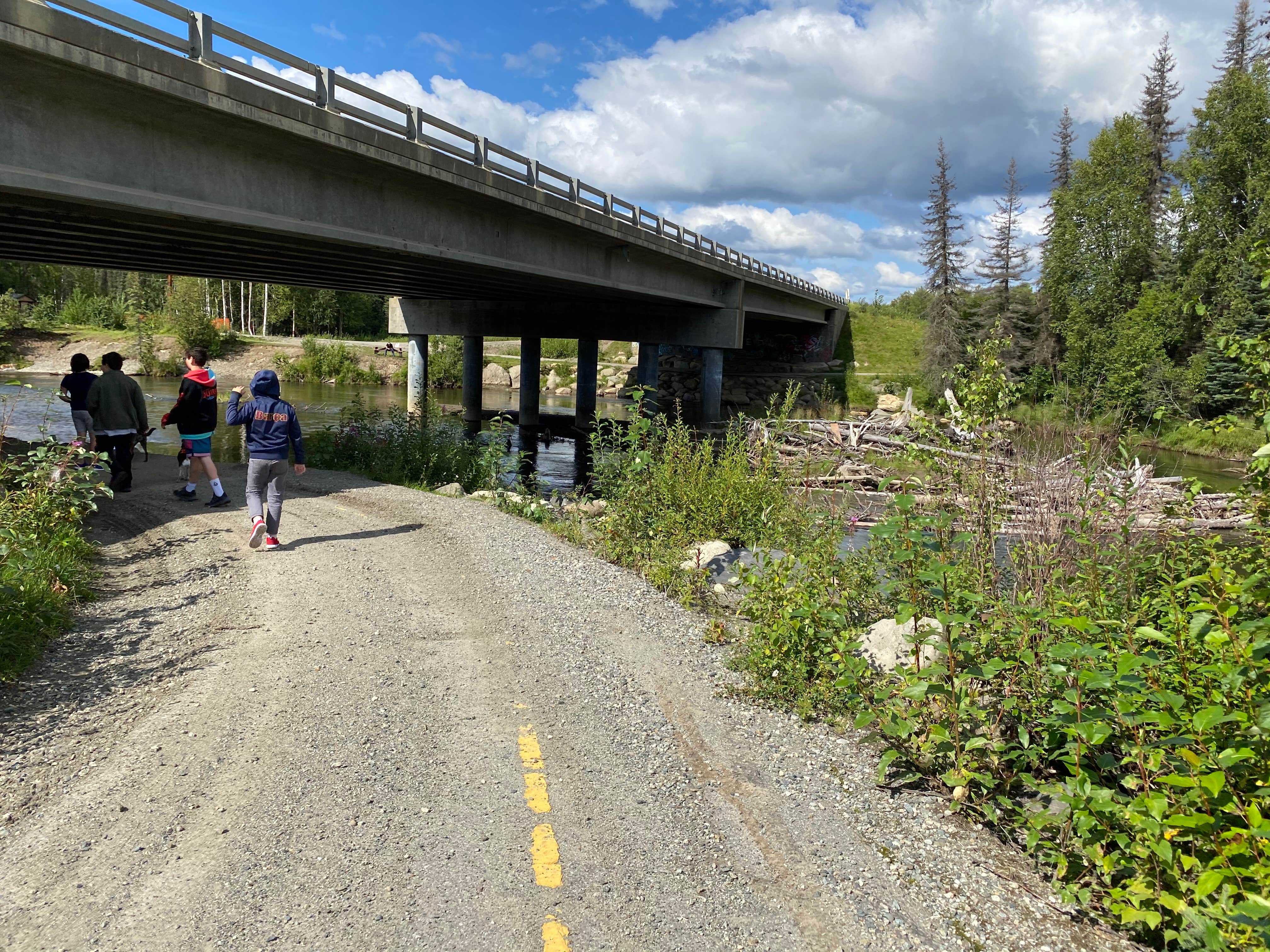 Camper submitted image from Little Susitna Campground - 5