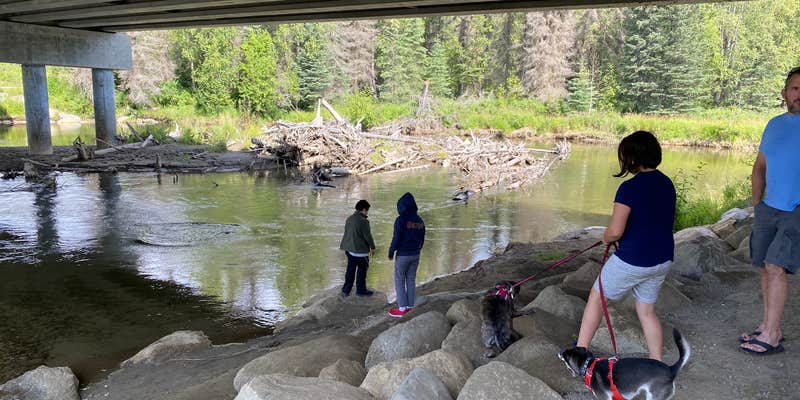 Camper submitted image from Little Susitna Campground