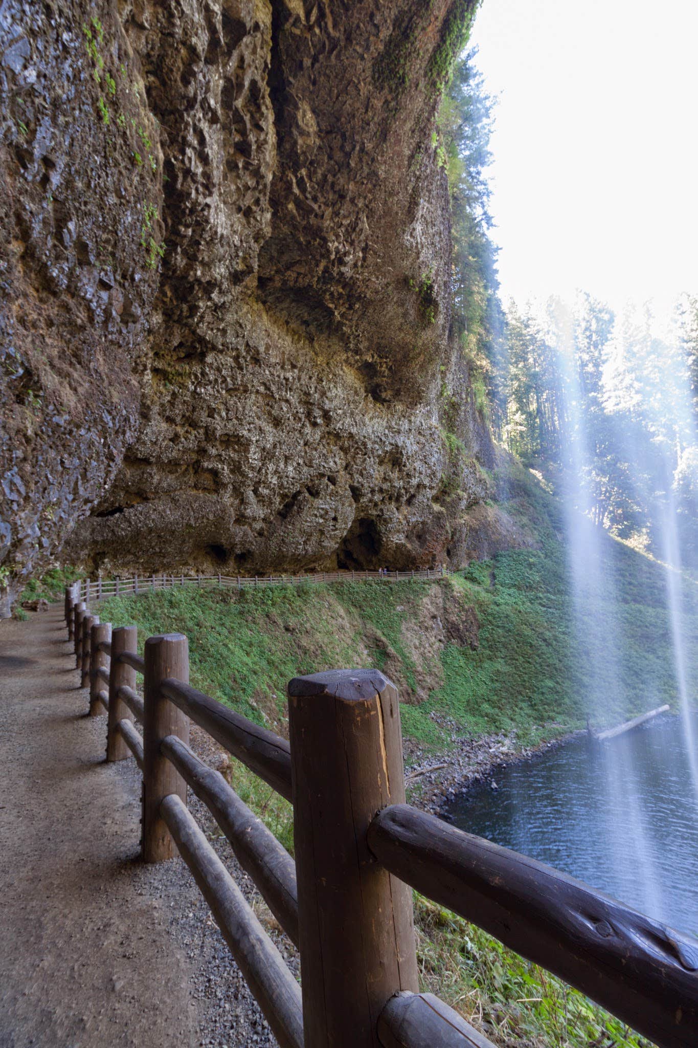 Camper submitted image from Smith Creek Village — Silver Falls State Park - 2