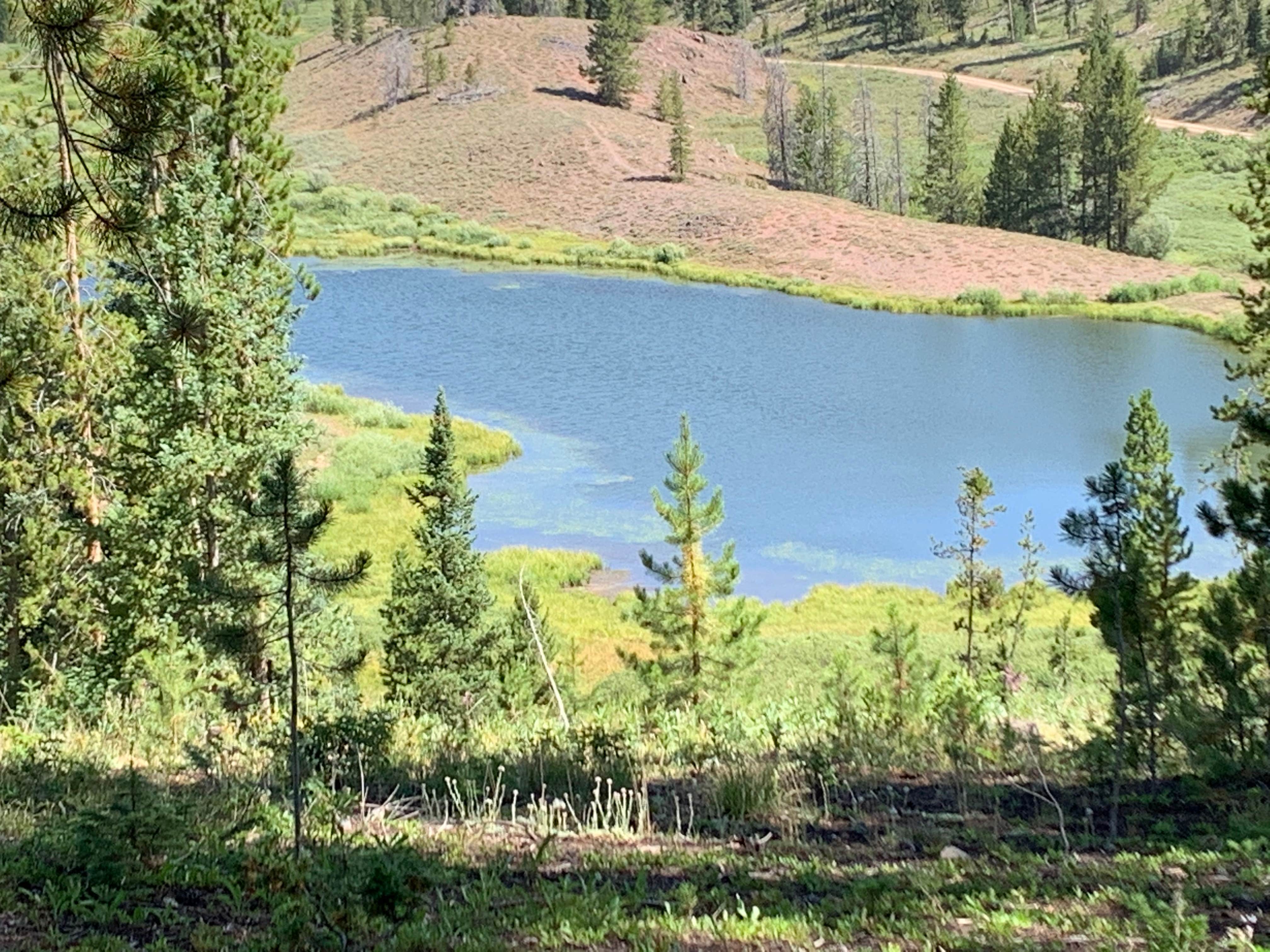 Camping near King Creek Trailhead: Lynx Pass Campground, Yampa, Colorado