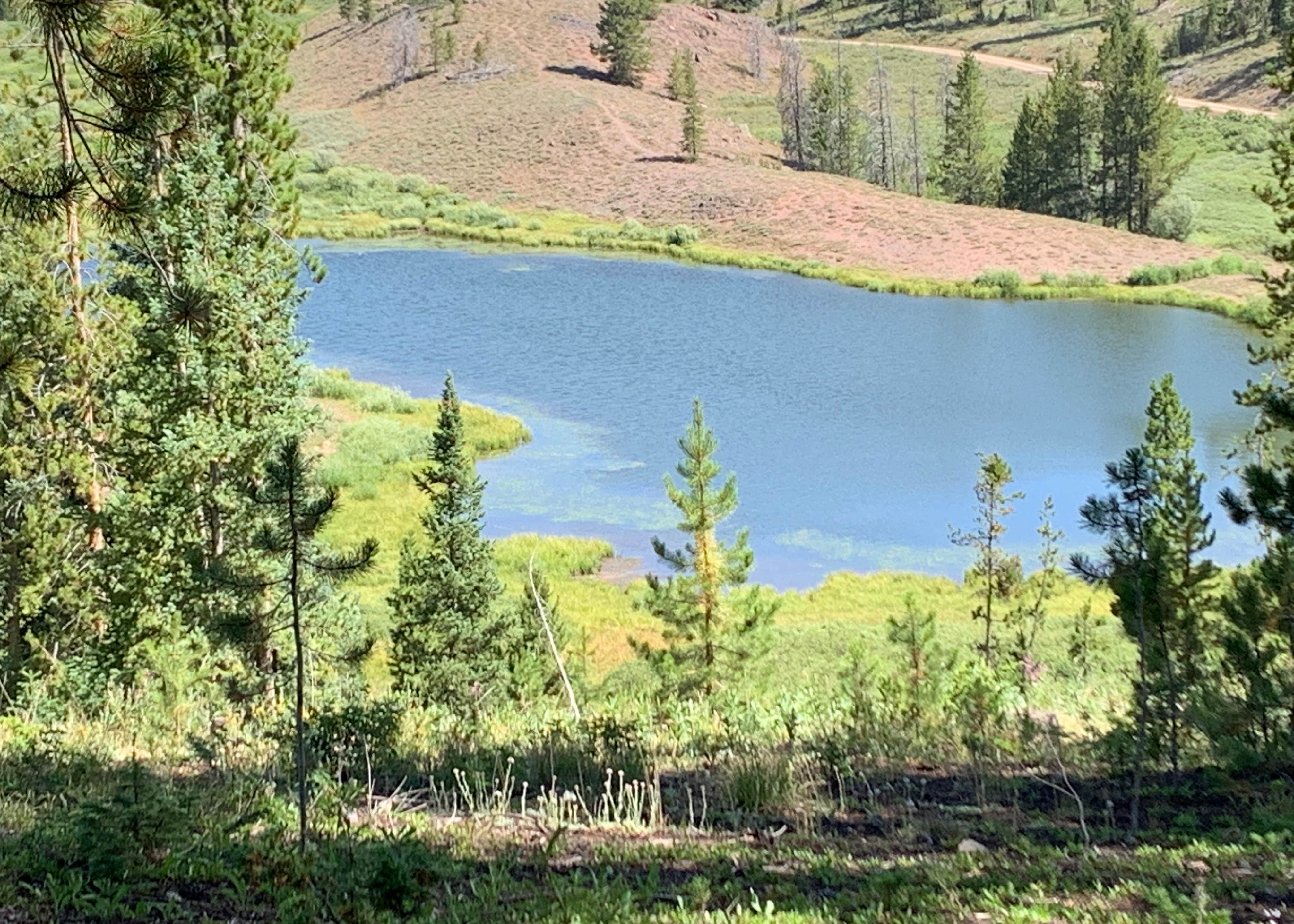 Lynx Pass Campground Camping The Dyrt