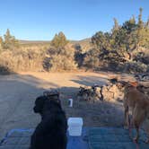 Review photo of Oregon Badlands Dispersed by Alex P., August 14, 2020