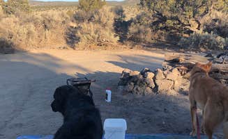 Alex P.'s photo of camping with pets at Oregon Badlands Dispersed near Central Oregon