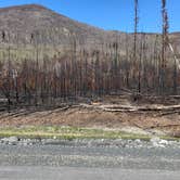 Review photo of Upper Skilak Lake Campground - Kenai National Wildlife Refuge by Tanya B., August 14, 2020