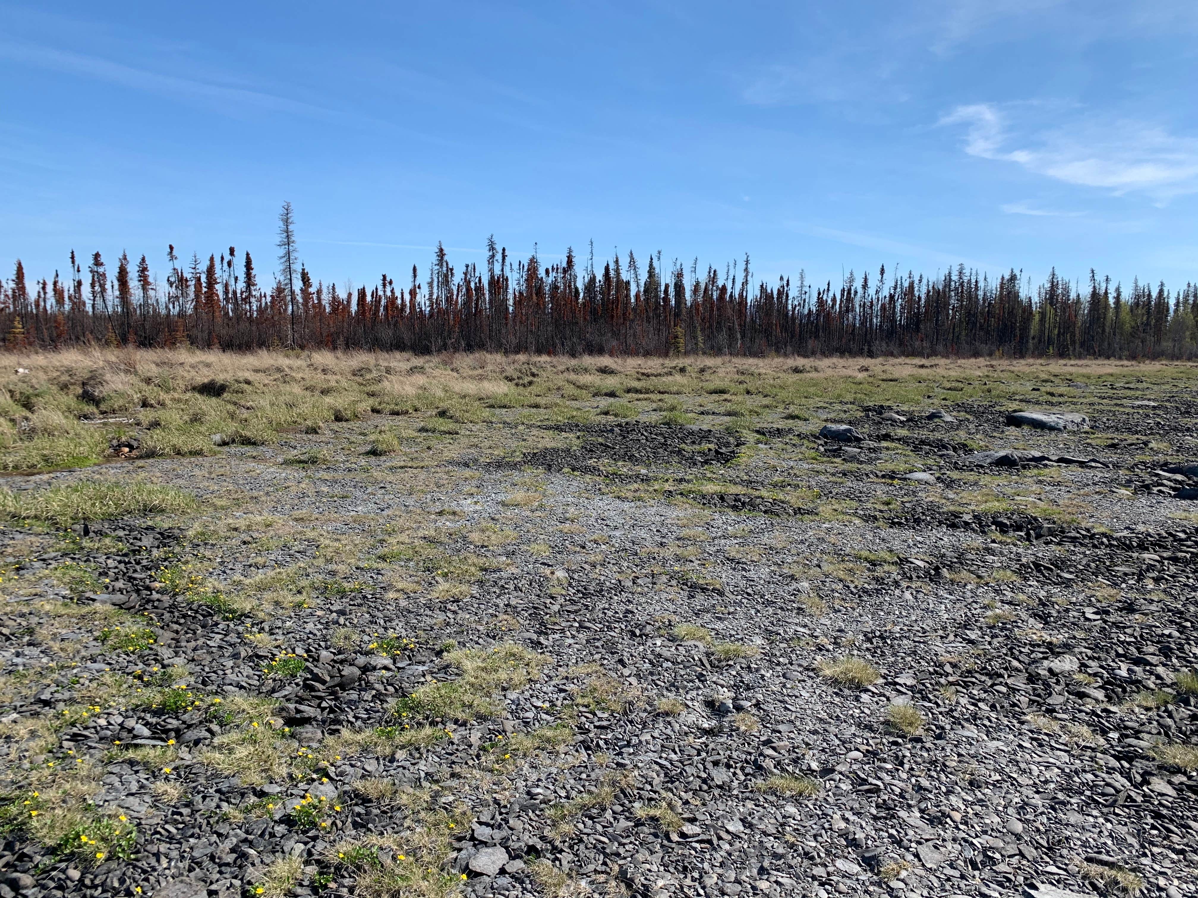 Camper-submitted photo at Upper Skilak Lake Campground - Kenai National Wildlife Refuge near Cooper Landing, AK