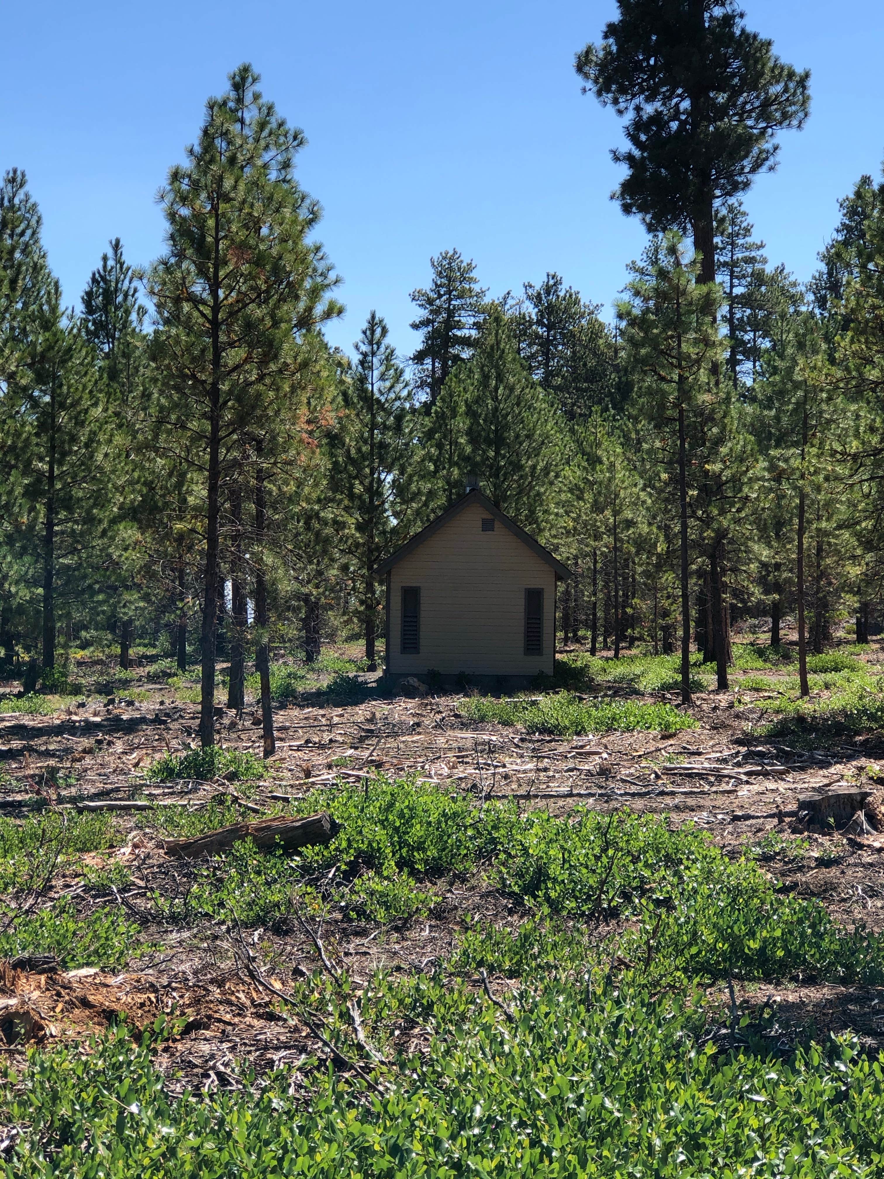 Camper-submitted photo at Lower Three Creek Sno-Park near Cloverdale, OR