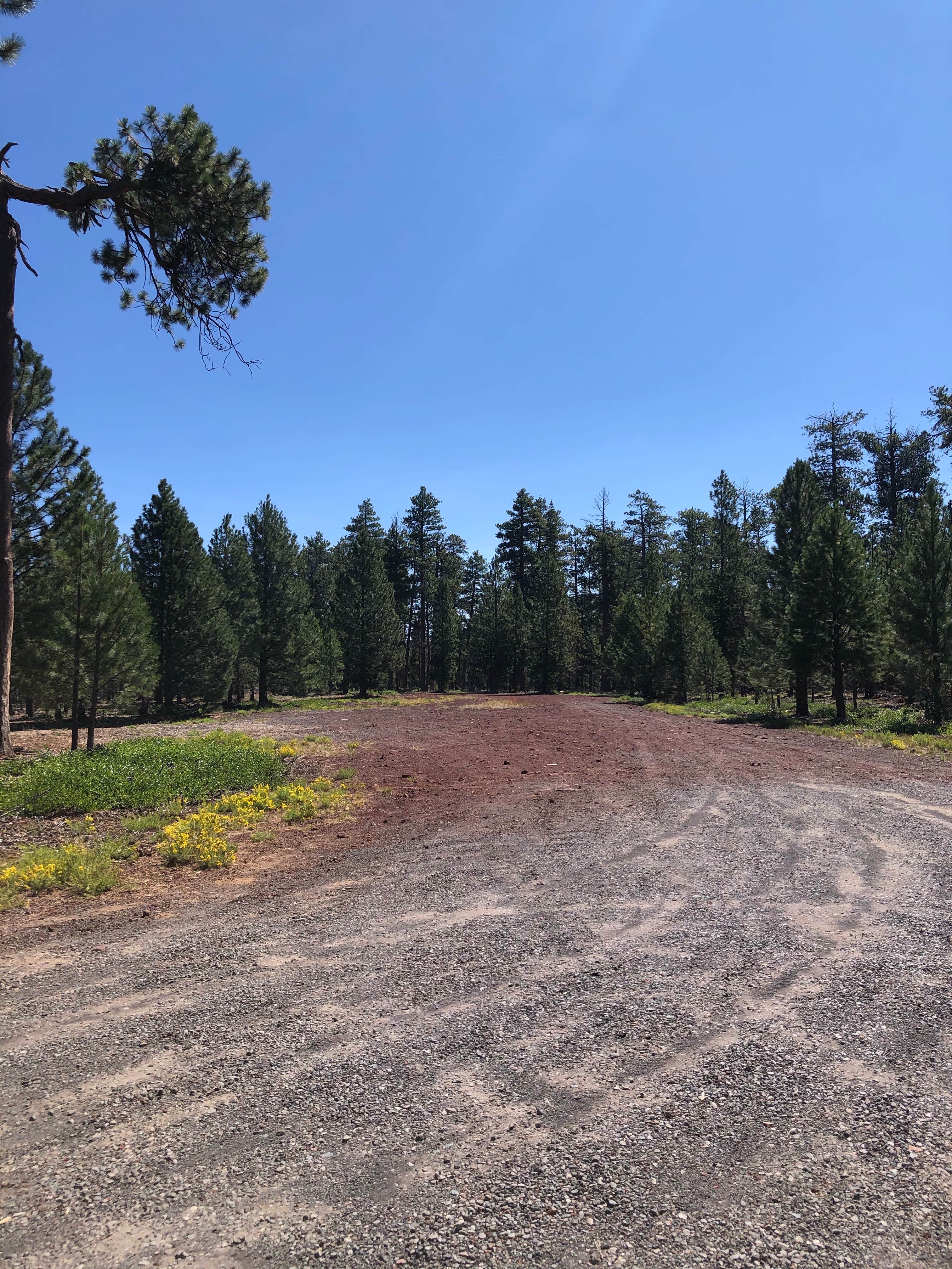 Camper-submitted photo at Lower Three Creek Sno-Park near Cloverdale, OR