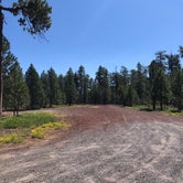 Review photo of Lower Three Creek Sno-Park by Alex P., August 14, 2020