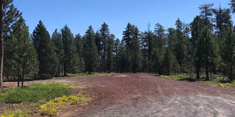 Camper submitted image from Lower Three Creek Sno-Park