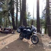 Review photo of Snag Lake Campground by Greg B., August 14, 2020