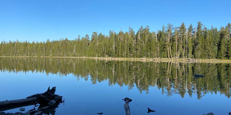 Camper submitted image from Snag Lake Campground