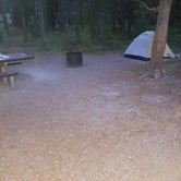 Review photo of Bakers Hole Campground by Dave L., August 14, 2020
