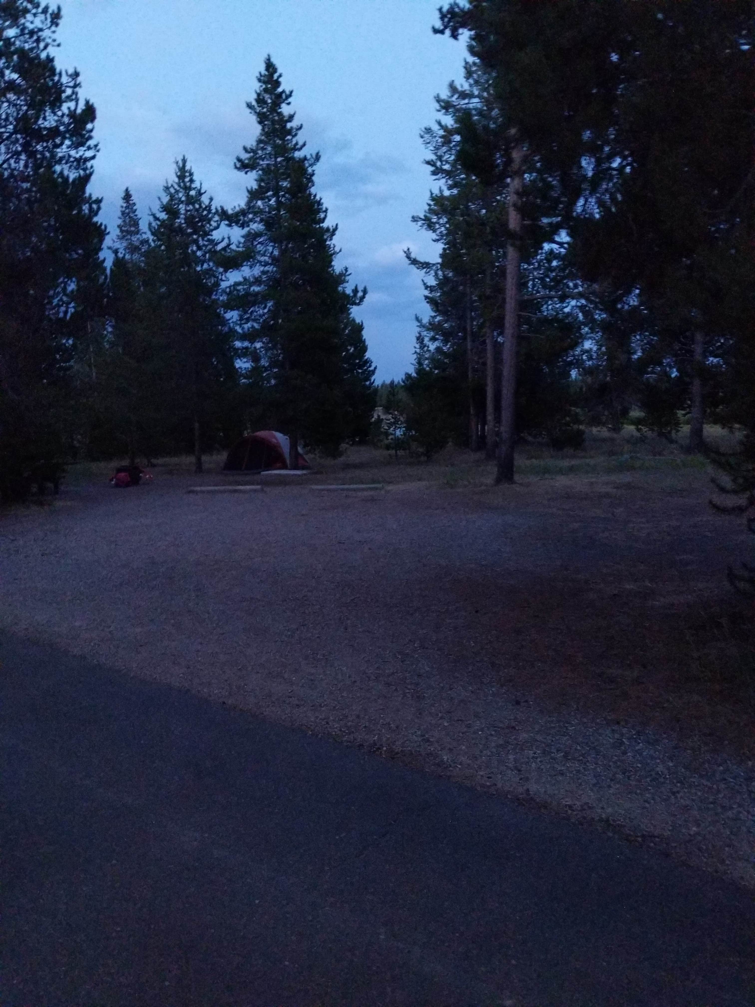 Gallatin/Baker's Hole The Dyrt