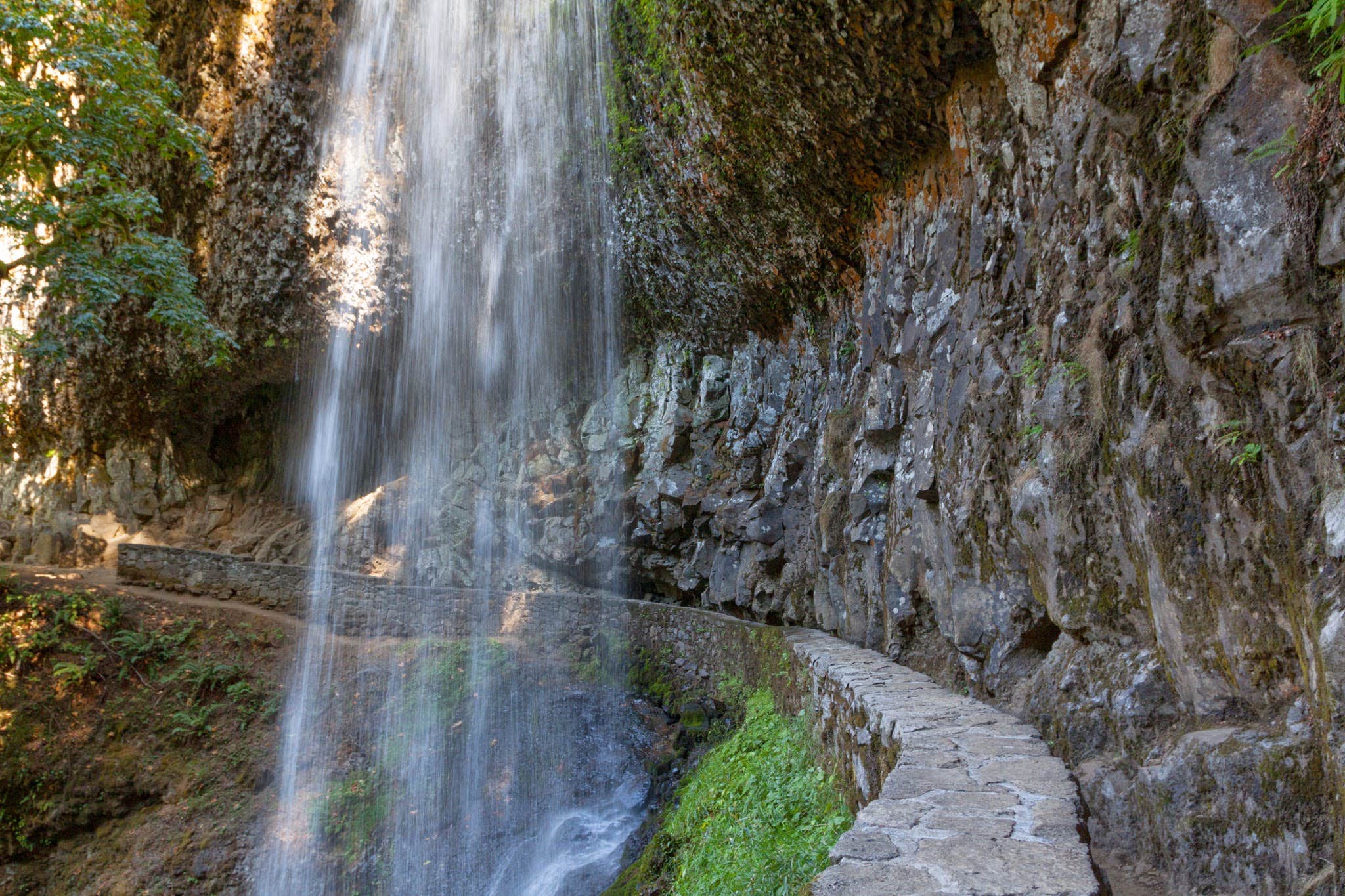 Camper submitted image from Smith Creek Village — Silver Falls State Park - 4