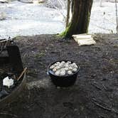 Review photo of Sol Duc Hot Springs Resort Campground — Olympic National Park by Terri G., April 26, 2018