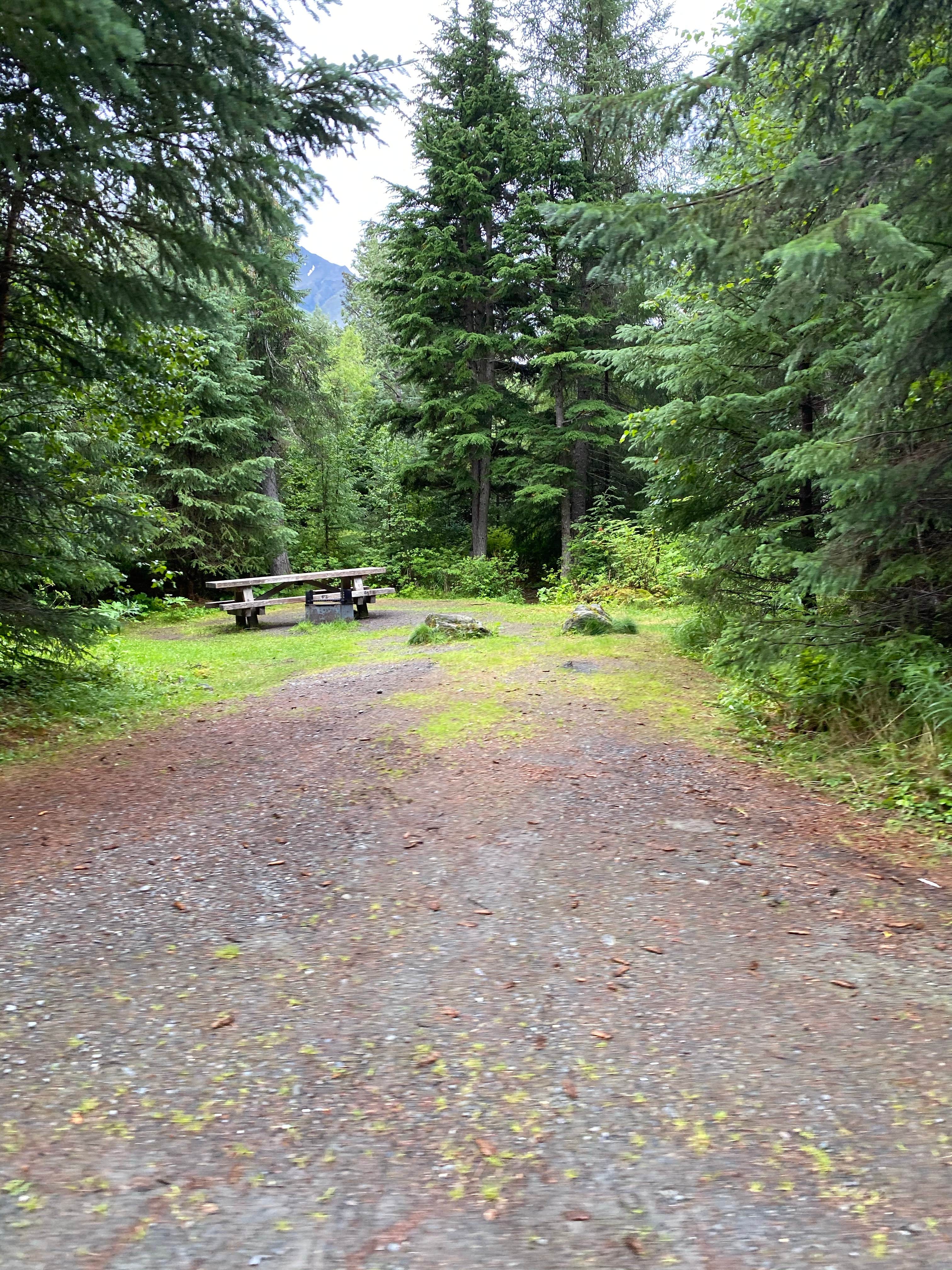 Camper-submitted photo at Chugach National Forest Ptarmigan Campground near Moose Pass, AK