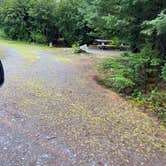 Review photo of Chugach National Forest Ptarmigan Campground by Tanya B., August 14, 2020