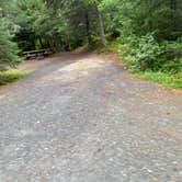 Review photo of Chugach National Forest Ptarmigan Campground by Tanya B., August 14, 2020