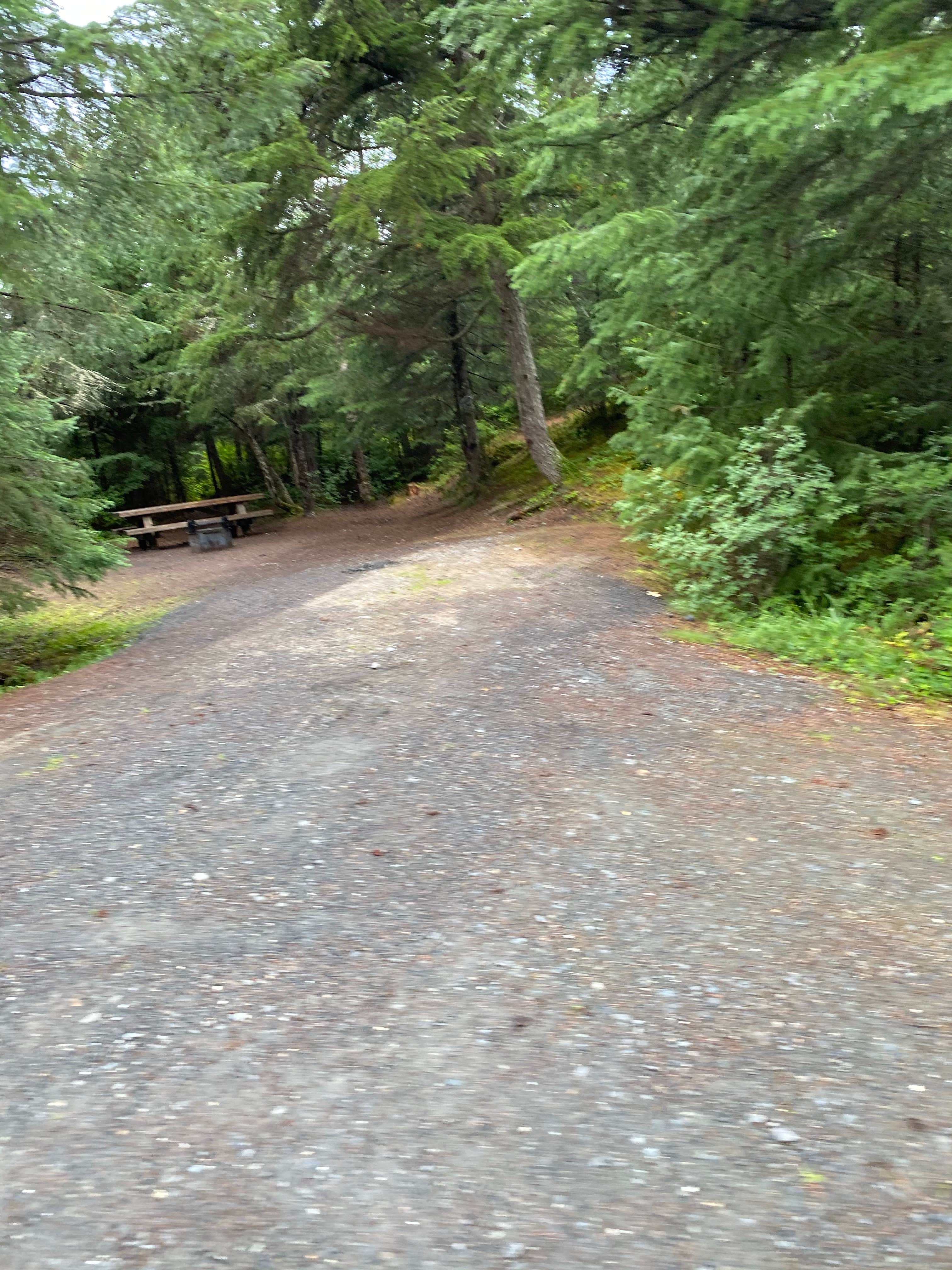 Camper submitted image from Chugach National Forest Ptarmigan Campground - 4