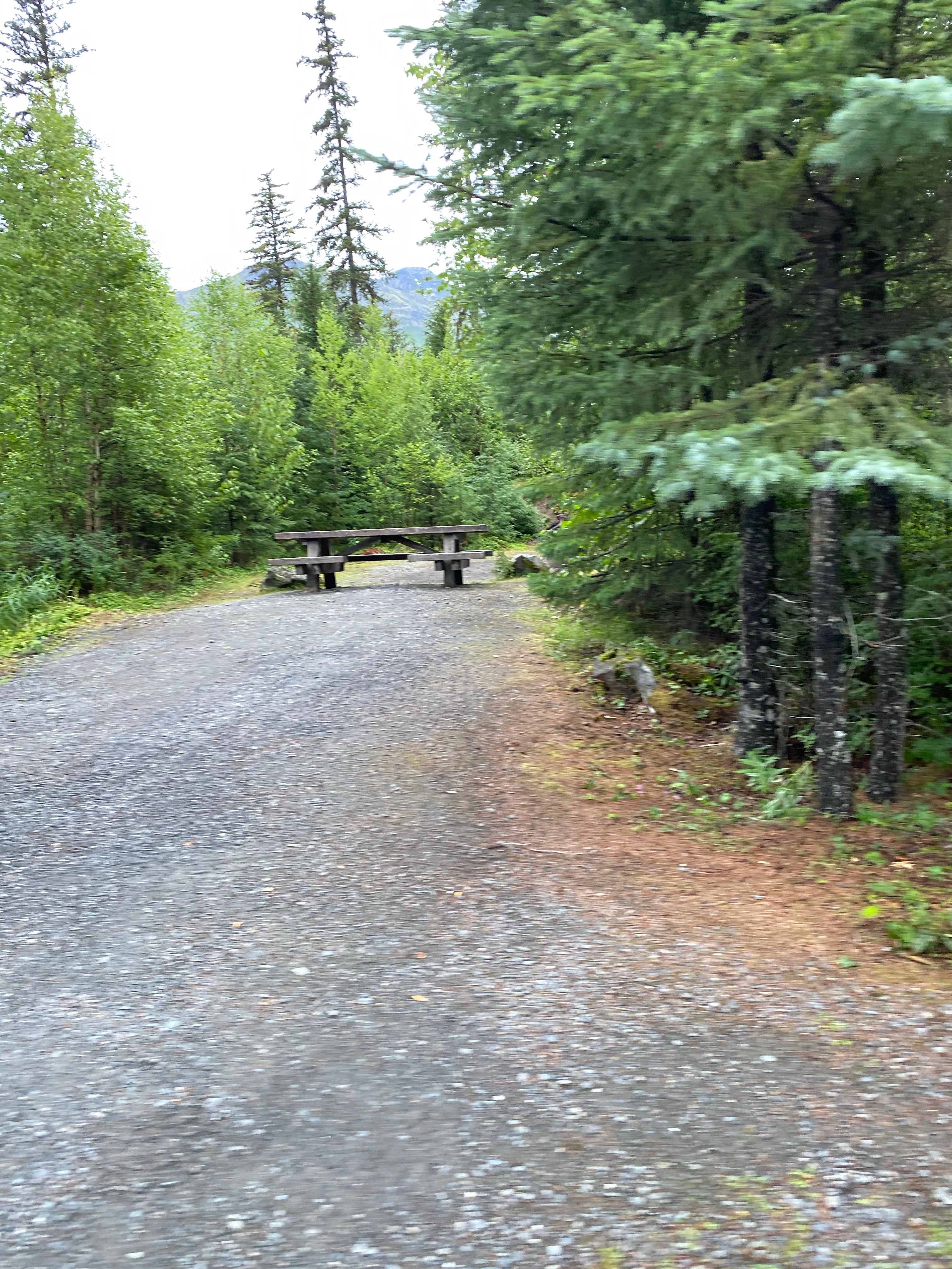 Camper submitted image from Chugach National Forest Ptarmigan Campground - 1