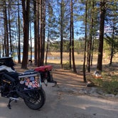 Review photo of Plumas National Forest Spring Creek Campground by Greg B., August 14, 2020