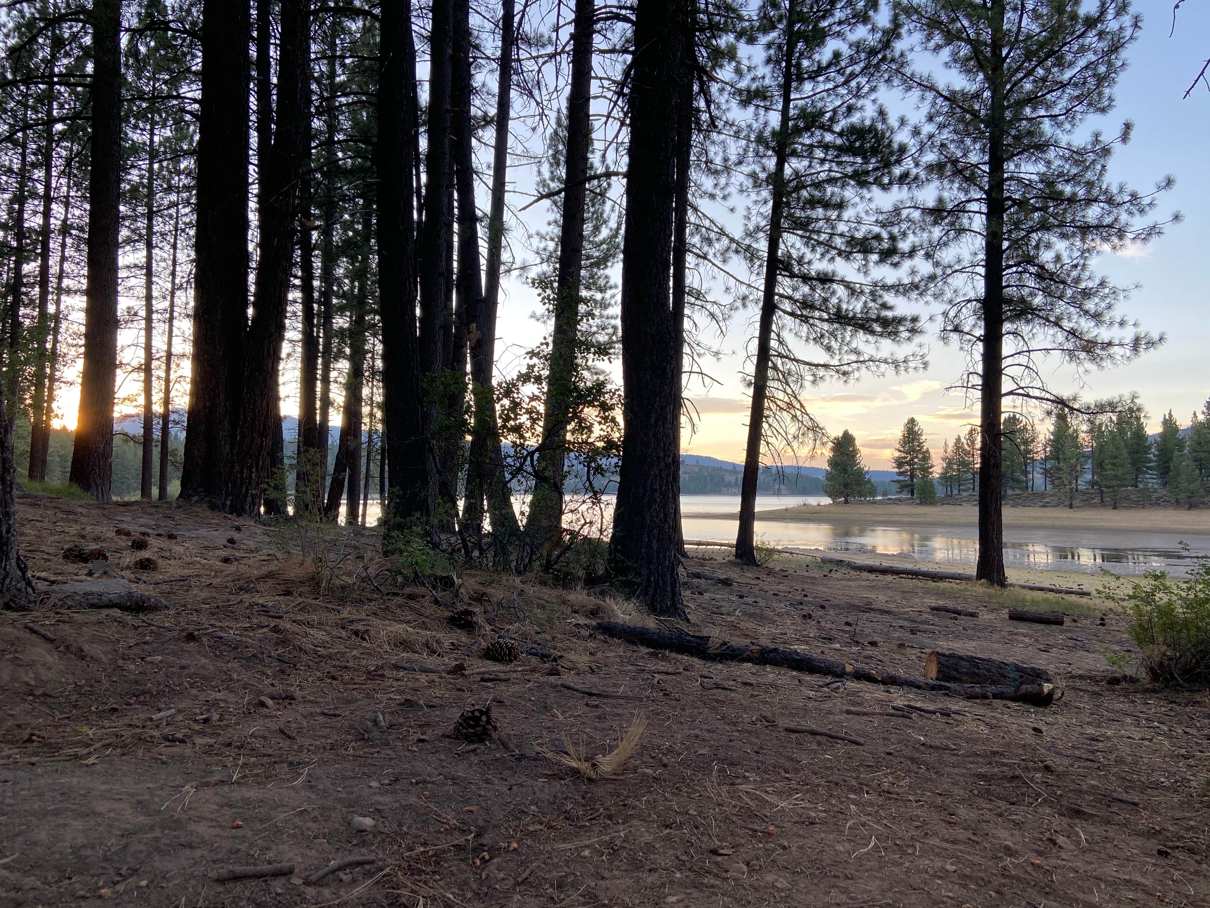 Camper-submitted photo at Plumas National Forest Spring Creek Campground near Chilcoot, CA
