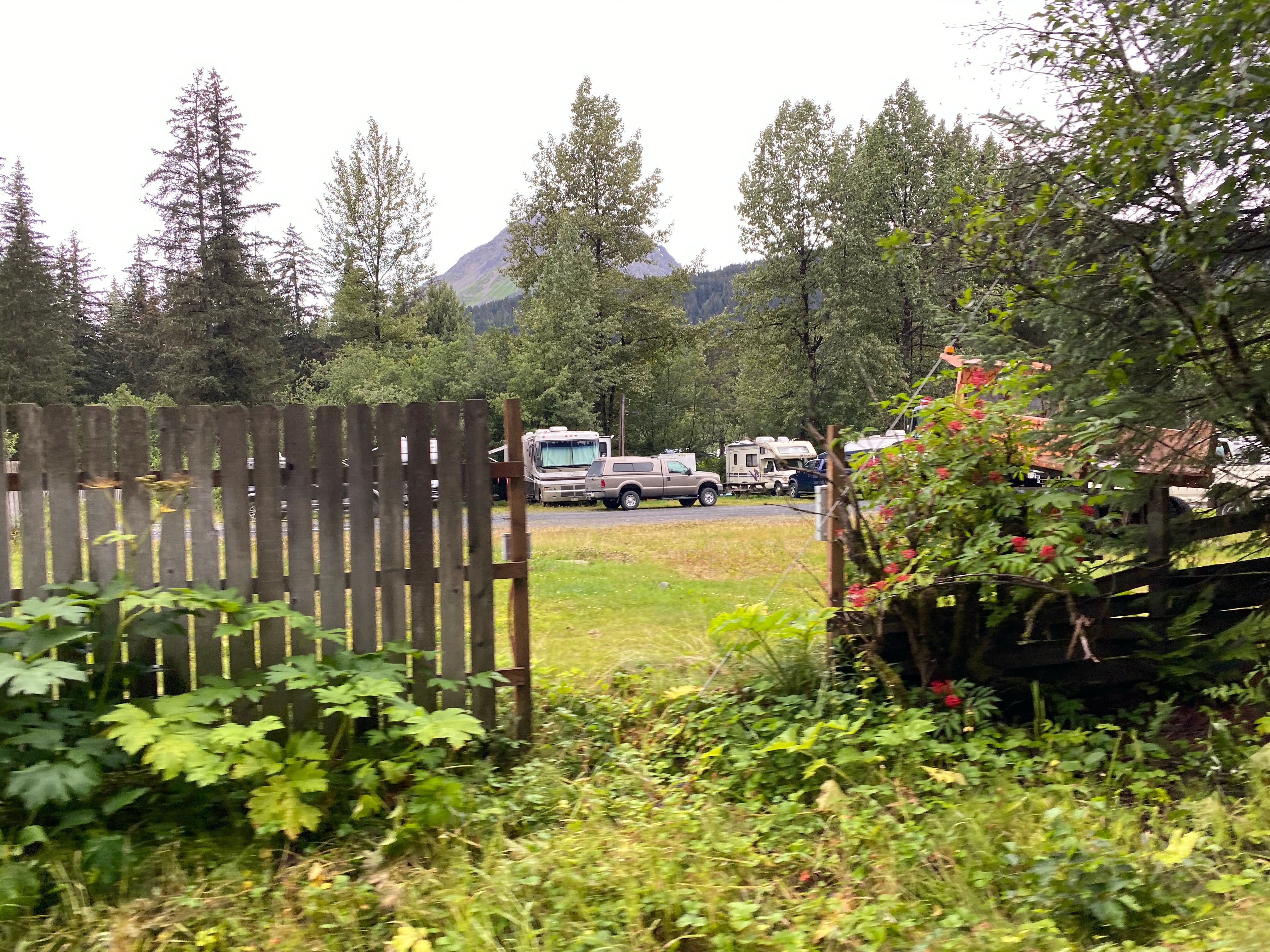 Camper submitted image from Bear Creek RV Park - 2