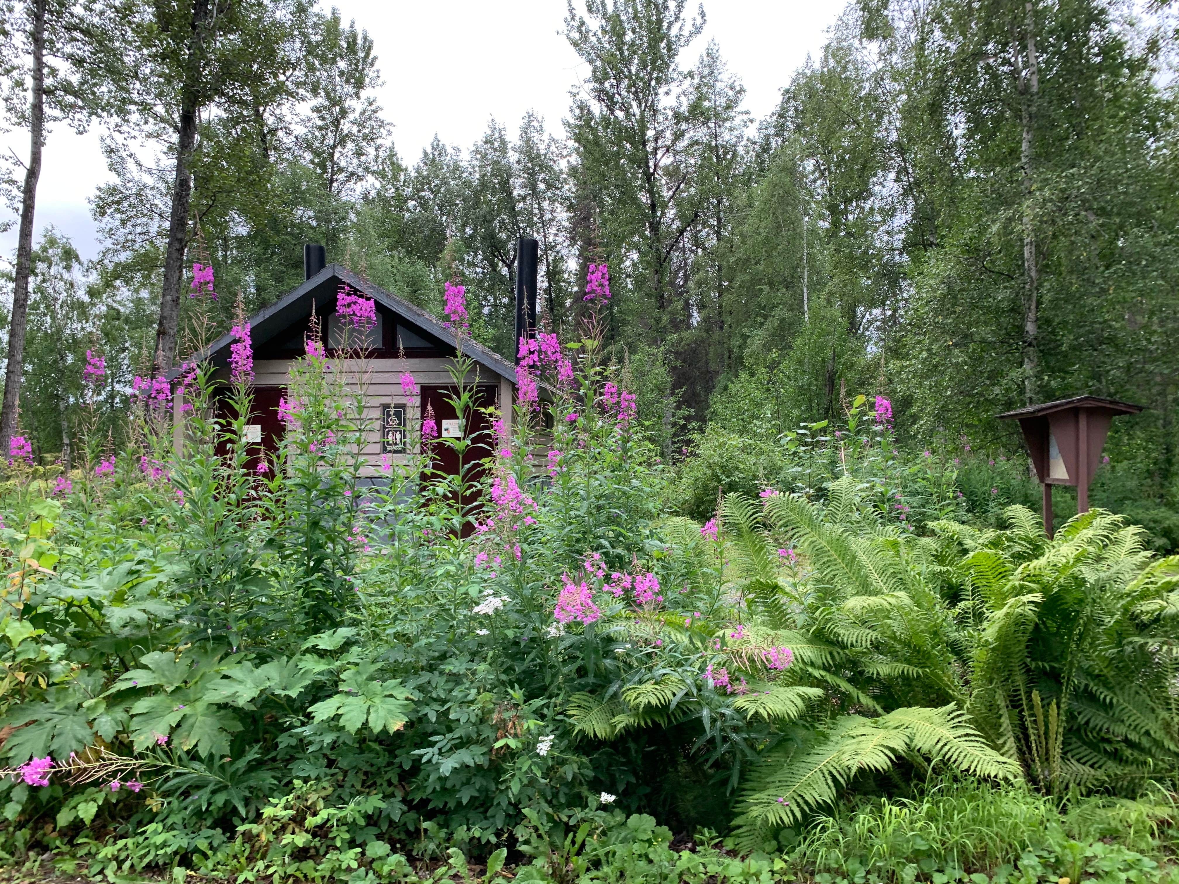 Camper-submitted photo at Montana Creek State Recreation Site near Talkeetna, AK